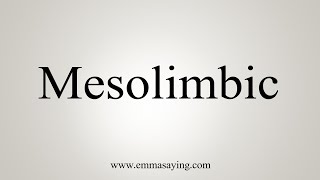 How To Say Mesolimbic [upl. by Bonni]