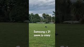 Thats crazy [upl. by Anselm]