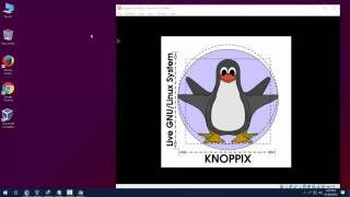 KNOPPIX install in virtualbox [upl. by Lydell]