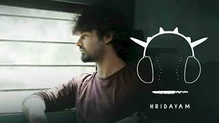 Hridayam Bgm Ringtone  Hridayam theme [upl. by Ronalda450]