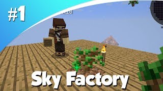 Minecraft Sky Factory 1  EEN MOOI BEGIN [upl. by Denna]