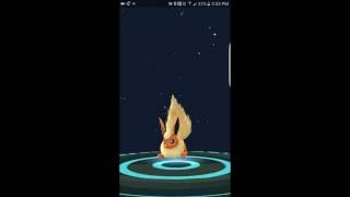 Debunking Eevee Evolve Myth No link to Abilities Pokemon Go [upl. by Loesceke]