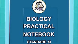 class 11th Biology practical book part B experiment no12 Study of Human Skeleton [upl. by Atinuhs739]