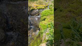 The refreshing snowmelt water in Garibaldi Park [upl. by Orodoet]