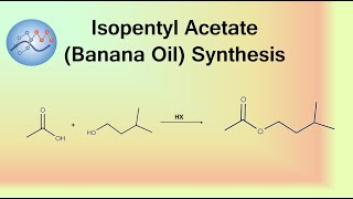 Isopentyl Acetate Banana Oil Synthesis Mechanism  Organic Chemistry [upl. by Valsimot]