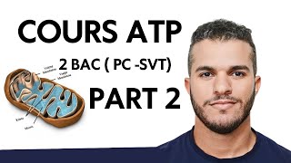 ATP 2 Bac  Libération de lénergie emmagasinée dans la matière organique Part 2 [upl. by Sebastien]