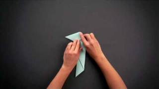 Antalis Origami  Parrot [upl. by Nhepets]