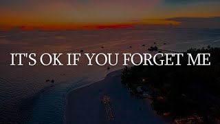 Its Ok If You Forget Me  Astrid S Mix Lyrics [upl. by Farra]