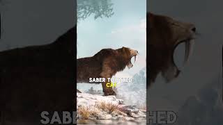 The Sabertooth tiger Smilodon [upl. by Isle]