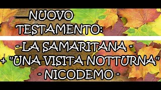 LA SAMARITANA  UNA VISITA NOTTURNA  NICODEMO Sauro Riccetti 1979 Bibbia dei bambini [upl. by Rekcut793]