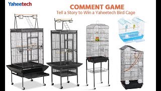 How to Choose Bird Cages [upl. by Eastlake]