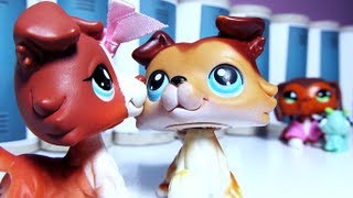 Littlest Pet Shop Popular Episode 22 Keep an Eye on Your Boy [upl. by Ronnholm]