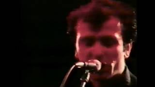 The Stranglers Rockstage 1980 [upl. by Annayk]