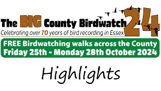 Big County Birdwatch 2024 highlights [upl. by Rabbaj]