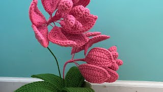 Flor 🌺 Medinilla paso a paso 🥰🧶 [upl. by Rebma]