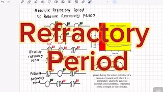 Konsep Periode Refraksi Absolute Refractory Period VS Relative Refractory Period [upl. by Ggerc151]