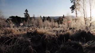 Aviemore Holiday With Loch Morlich [upl. by Olsen]