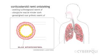 Astma  Ontstekingremmers [upl. by Ahsirak]