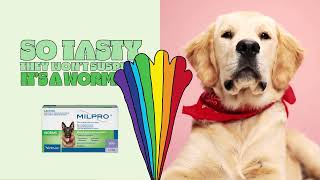 Milpro® Wormer for Dogs – So Easy [upl. by Aryn]