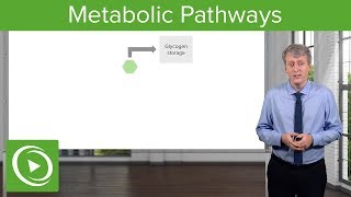 Inborn Errors of Metabolism Metabolic Pathways – Pediatrics  Lecturio [upl. by Yrellih]