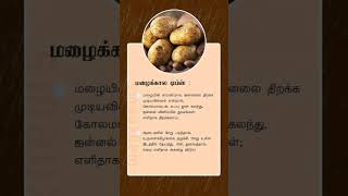 மழைக்கால டிப்ஸ் shortsfeed tips [upl. by Susanetta883]