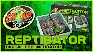 Zoo Med ReptiBator® Digital Egg Incubator [upl. by Milurd]