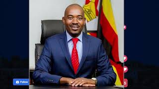 Simba Chikanza defends Nelson Chamisa against public backlash [upl. by Gnilyarg]