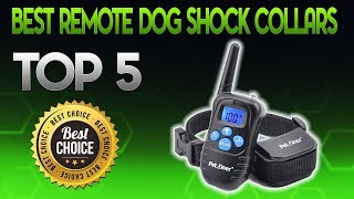 Best Remote Dog Shock Collars 2020  Remote Dog Shock Collar Review [upl. by Nalyd810]