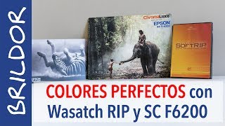 Colores perfectos en SUBLIMACIÓN con Wasatch SoftRip y EPSON SC F6200 [upl. by Lesoj]