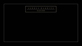 Aldous Harding  Elation Official Video [upl. by Hitt]