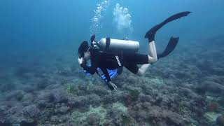 Anilao Batangas Scuba Diving 2024 [upl. by Ydnelg728]