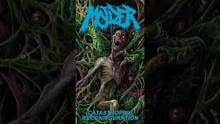 Molder Catastrophic Reconfiguration album review [upl. by Ydolem67]