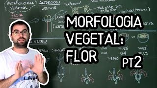 Organologia da Flor Morfologia pt2  Aula 19 Botânica Prof Guilherme [upl. by Lymann396]