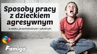 Sposoby pracy z dzieckiem agresywnym w wieku przedszkolnym i szkolnym [upl. by Idieh728]