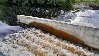 Lobwood Weir Fish Pass River Wharfe [upl. by Kamal874]