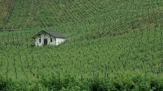 De Pupillin à ChâteauChalon échappée dans le vignoble jurassien [upl. by Adaran838]