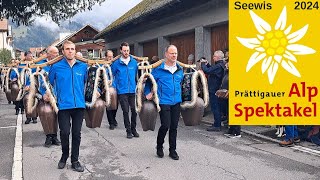 Alpspektakel 2024 Seewis Prättigau Alpabzug [upl. by Ligriv]