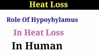 Heat Loss  Role of hypothalamus in Thermoregulation class 12 biology  Homeostasis [upl. by Artinad781]