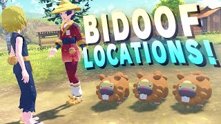 ALL 3 Bidoof Locations  Bothersome Bidoof Quest  Pokemon Legends Arceus [upl. by Eiderf]