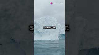 How Icebergs Form and Move staycurious facts shorts nowyouknow [upl. by Maggi]