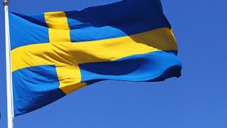 06 Jun National day in Sweden [upl. by Pollitt]