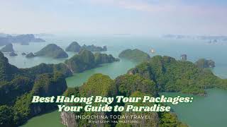 Best halong bay tour packages [upl. by Ybreh]