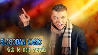 Slobodan Vasic  Gde je mala zaspala Audio 2013 [upl. by Cassie]