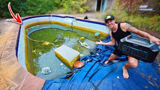 Draining the ABANDONED POOL rescuing everything Pt1 [upl. by Kelcie]