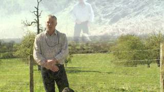 Gundog Training at Shropshire Gundogs [upl. by Alikee]