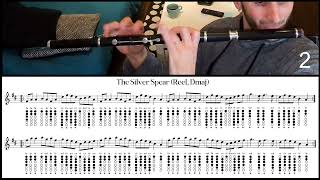 Tuto Irish Flute  The Silver Spear Reel Dmaj [upl. by Einnil]