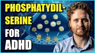 Phosphatidylserine Benefits For ADHD The Research Explaining Why [upl. by Bland128]