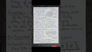 Epithelial Tissue Part5  Animal Tissue  Tissue class 9th  shorts [upl. by Hgielsel]