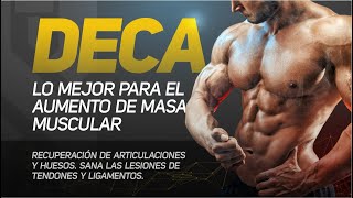 Deca Nandrolona ciclo de aumento de masa muscular decanoato de nandrolona deca durabolin [upl. by Kassel]