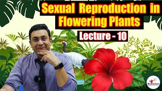 Sexual Reproduction in Flowering Plants l Lecture 10 l Biology l NEET [upl. by Nawed222]